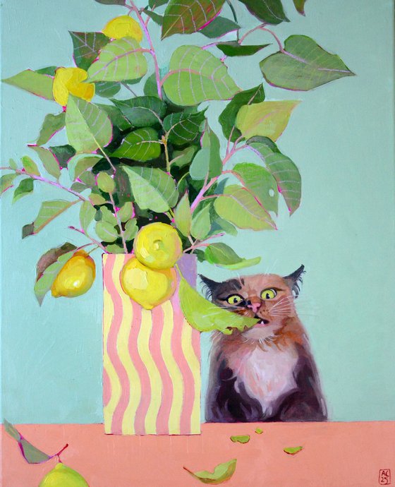 A cat named lemon