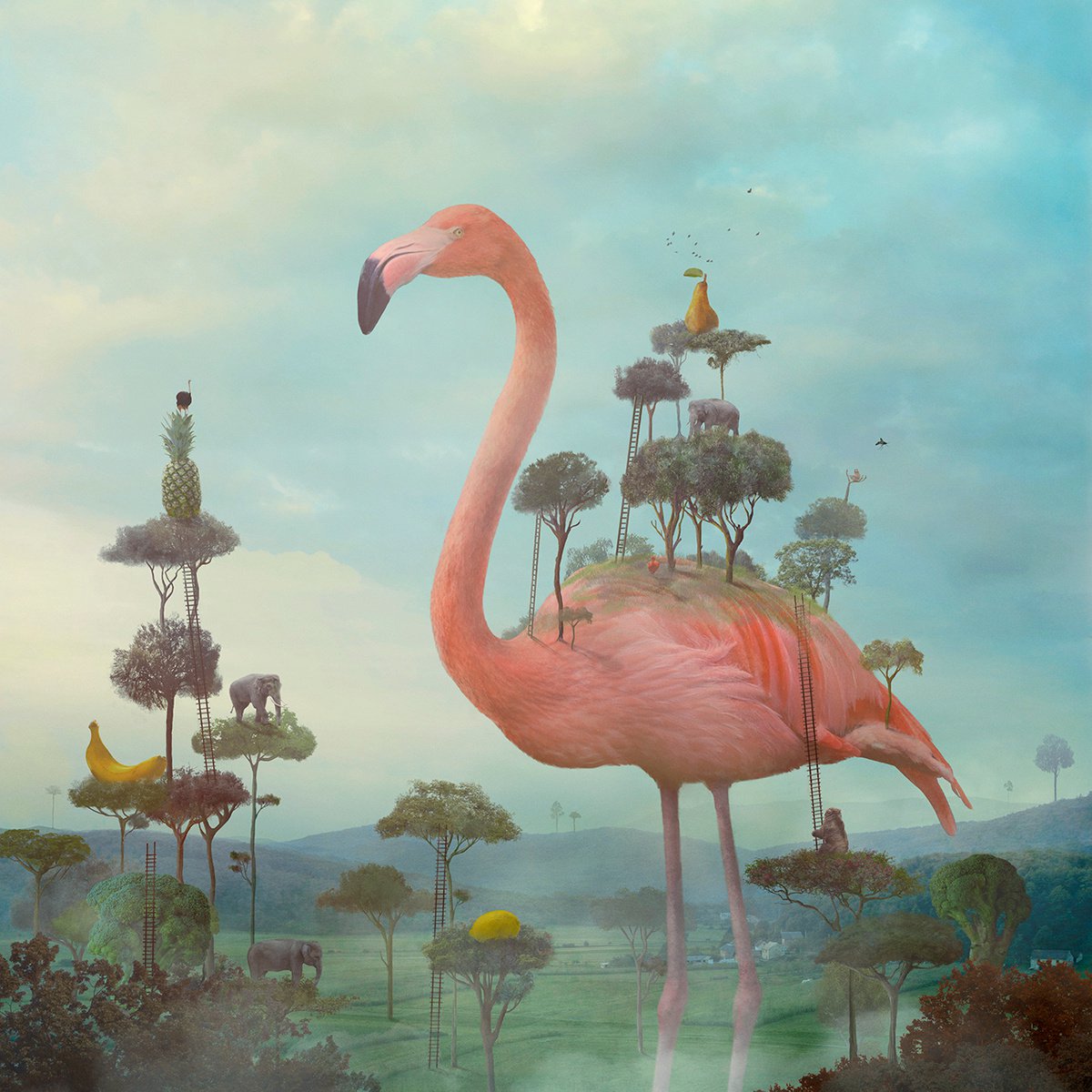 Surrealistic Animal Photograph By Nikolina Petolas, 22 X 22", Last Days Of Summer, Original Artwork