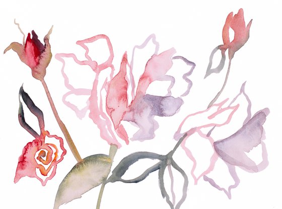 Rose Study No. 55