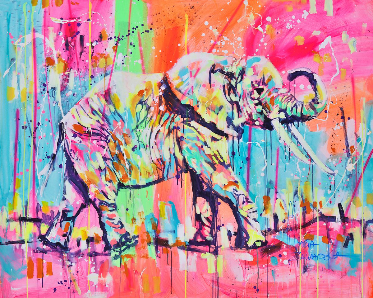 Colors of rainbow by Marta Zawadzka