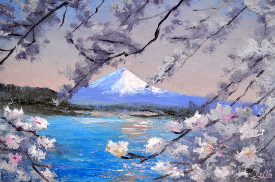 Mt. Fuji & Cherry Blossoms, Kawaguchiko