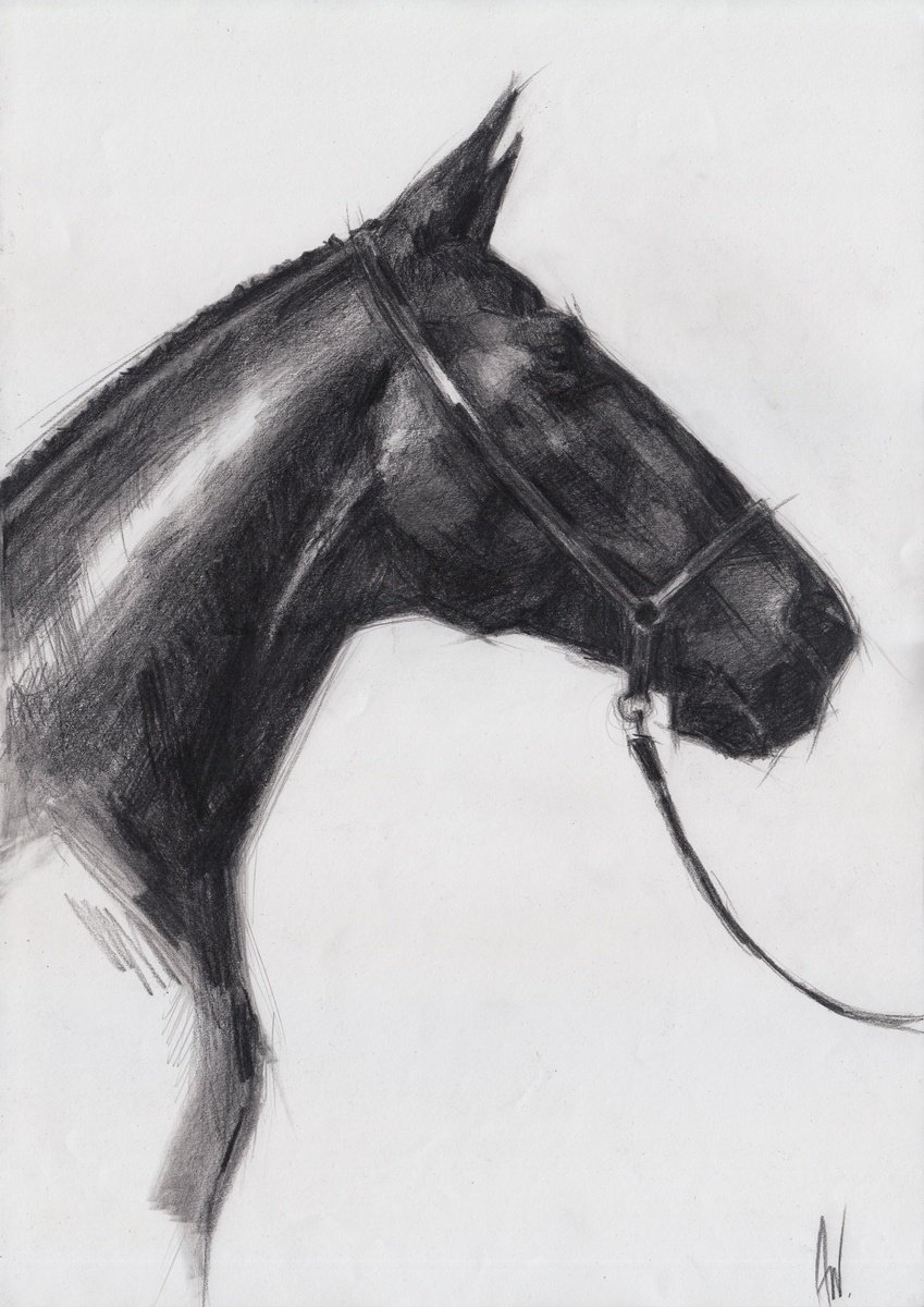 Head of a Horse by Anna Khaninyan