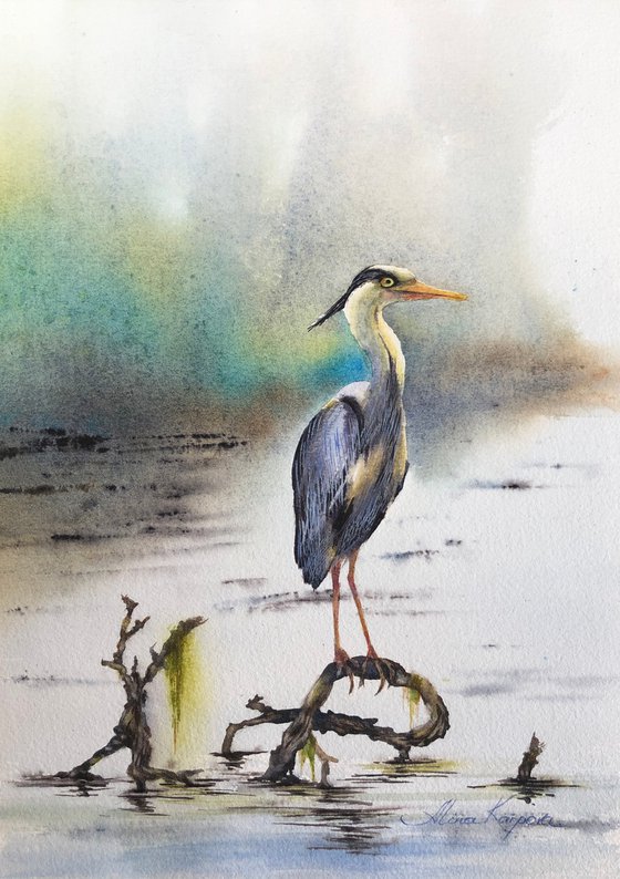 Grey heron standing in a river