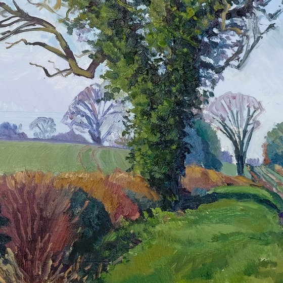 Oulston Trees, March
