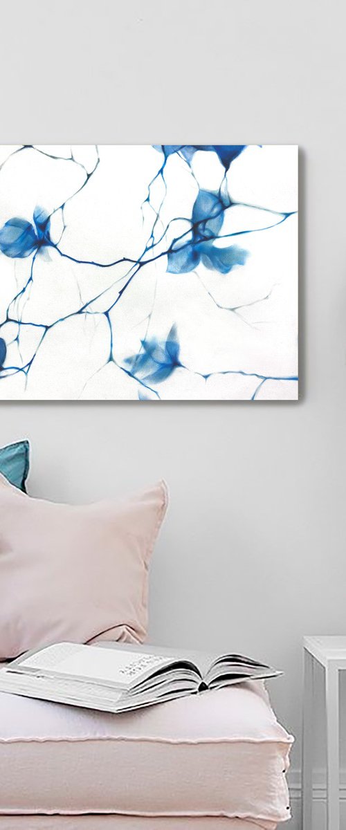 Fragile Blue Magnolia Cyanotype Style by Julia Shilo