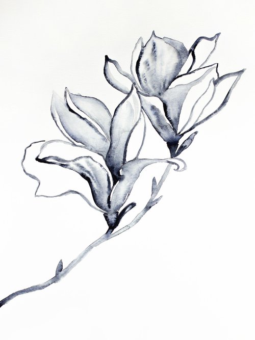 Magnolia No. 36 by Elizabeth Becker