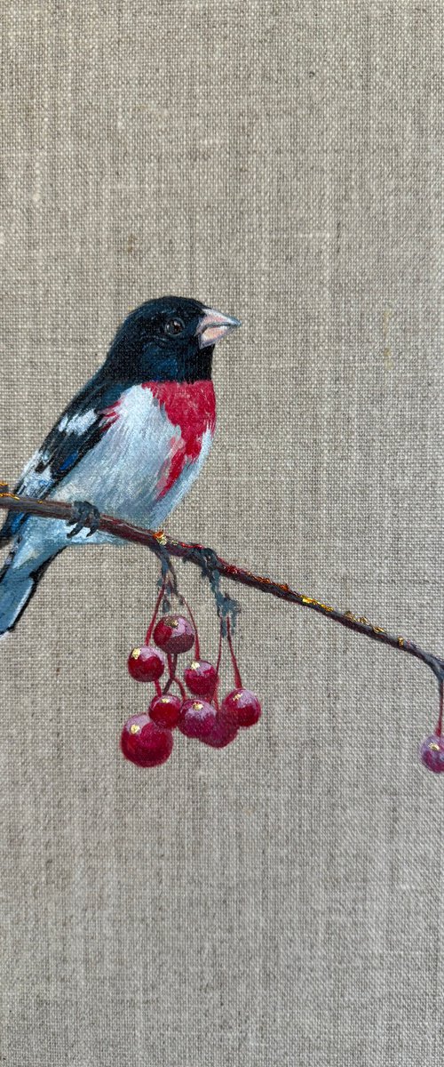 Rose Breasted Grosbeak on Linen by Hannah  Bruce