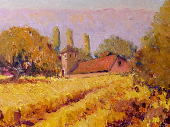 Vineyards in the Fall