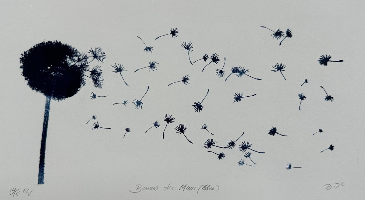 Botanical Limited Edition Print By Diane Mclellan, 15 X 8, Borrow The Moon (Blue), Original Artwork