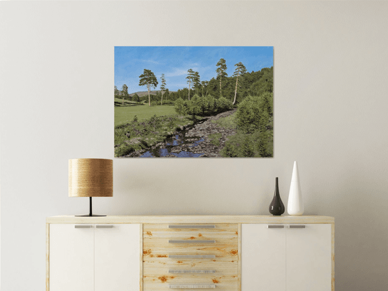 Verdant Meadow With Creek