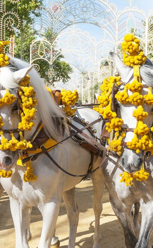 Jerez Horse Festival 2 by Andrew Lever