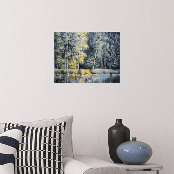 Forest edge