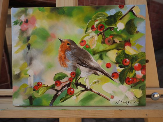 Robin with Red Berries