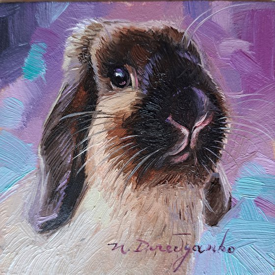 Rabbit portrait