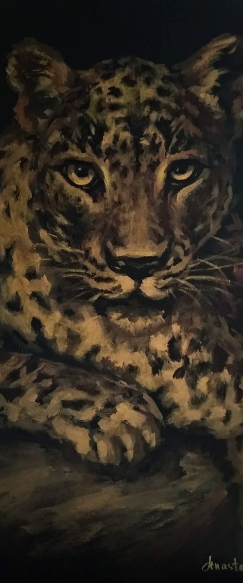 Black and Gold Wild cat Golden eyes Panther by Anastasia Art Line