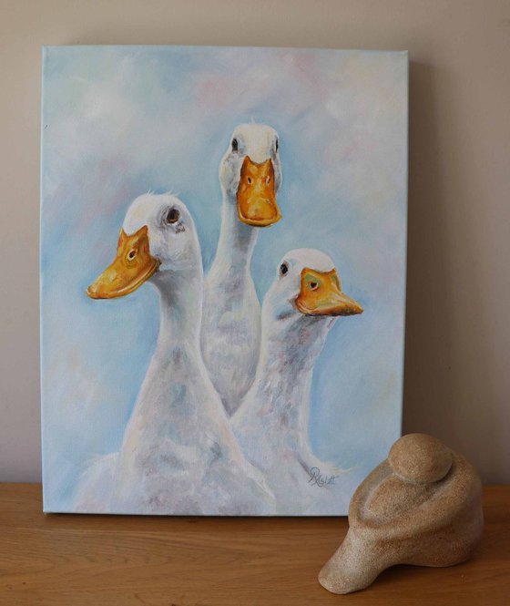 Duck Trio