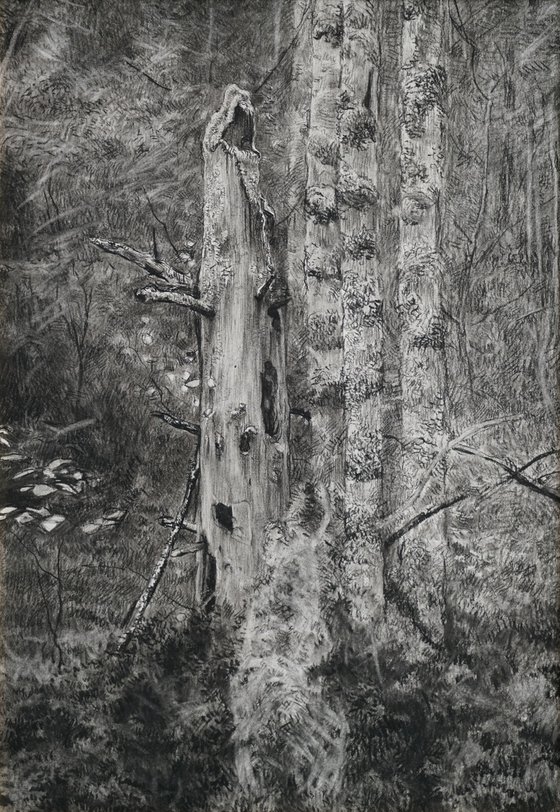 Dead tree