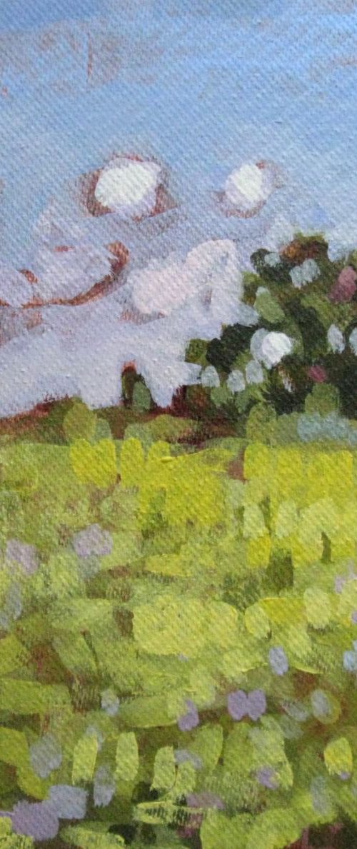 BOHEMIA (landscape). by LENKA STASTNA