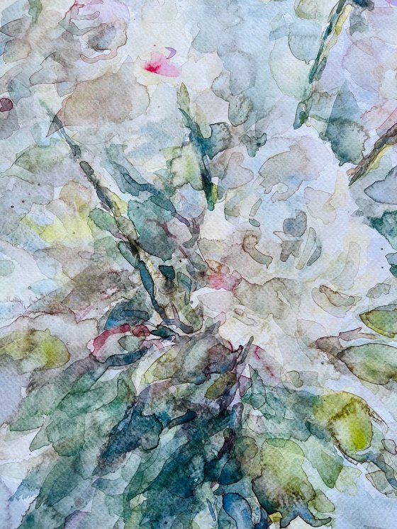 Peonies 50x65cm 2025