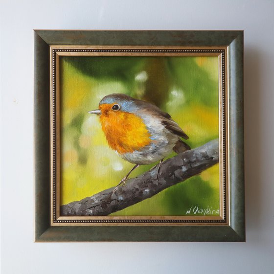 Robin Bird Painting