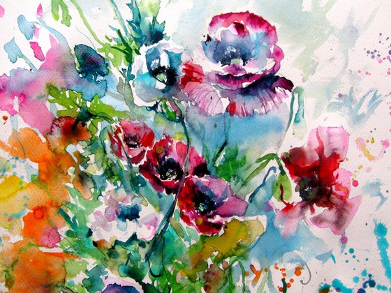 Colorful poppies in the garden