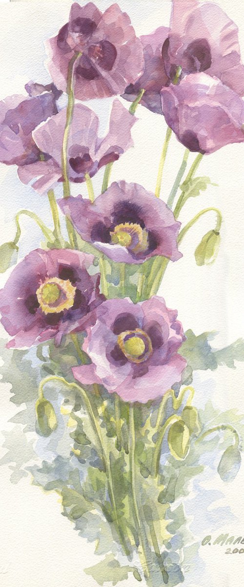 Wild Purple Poppies by Olha Malko