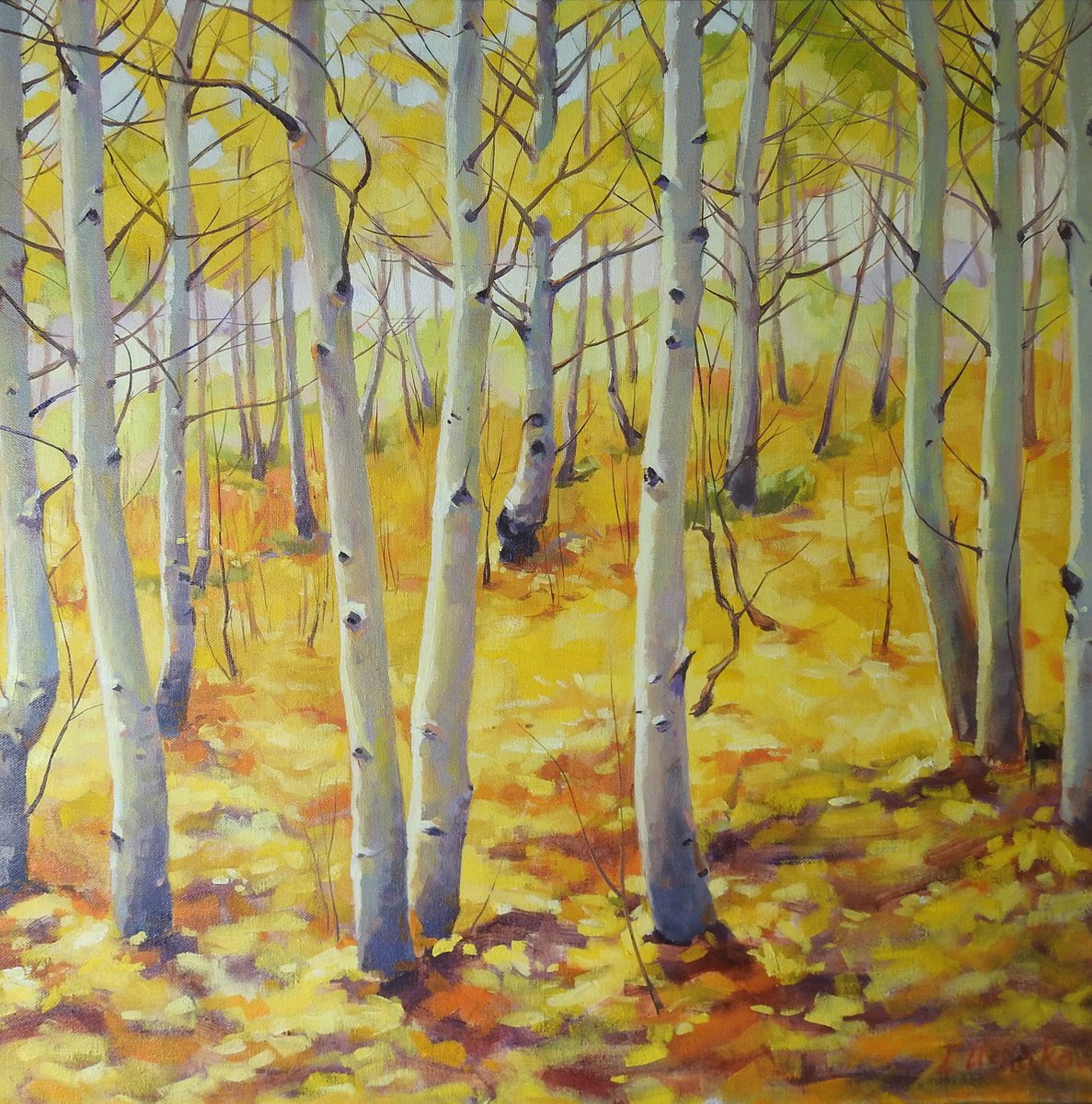Landscape Oil Painting By Irina Ushakova, 24 X 24, Autumn Birches, Original Artwork