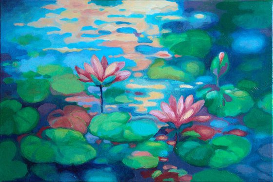 Water lilies - aroma of summer