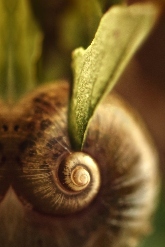 The Treasure - diptych