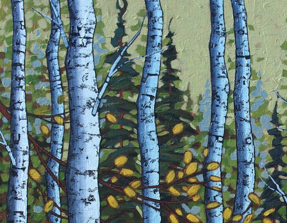 Autumn Birch Woods