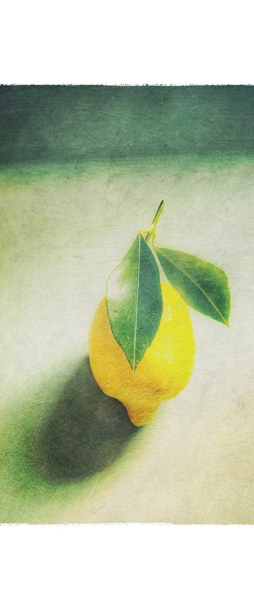 LEMON WITH LEAVES by SARAH PARSONS