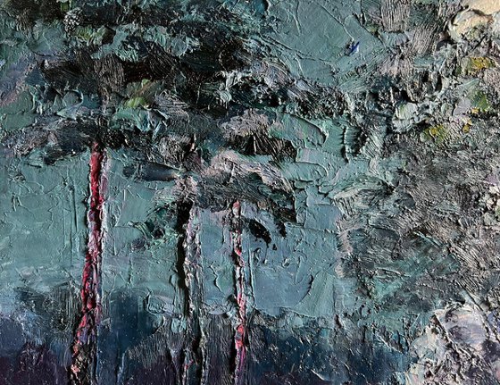 Winter Trail in the Forest