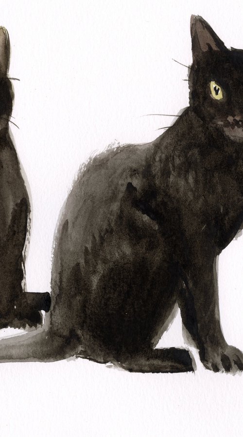 Two Black cats by Suren Nersisyan