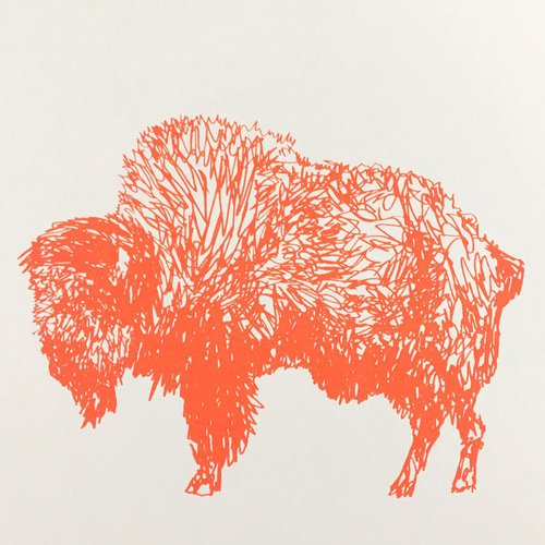 Squiggly Bison by David Horgan