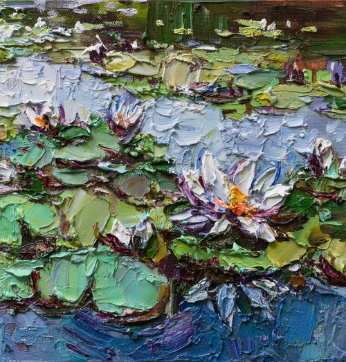 White water Lilies - Impasto Original Oil painting by Anastasiia Valiulina