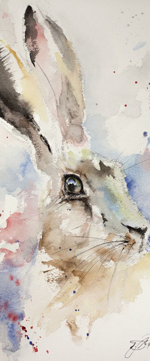 Female Hare by Tomasz Mikutel