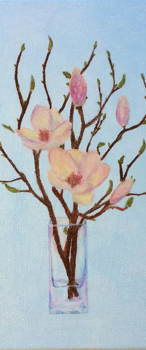Pink Magnolia by Jing Tian