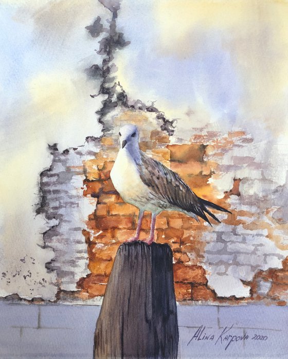 Seagull and old brick wall Venice