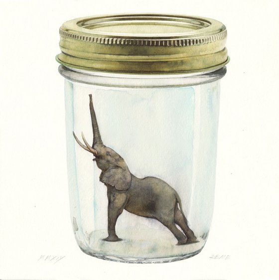 An Elephant in a Jar III