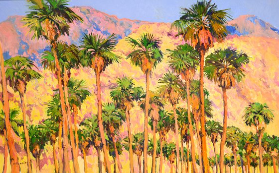 Palm Springs, Landscape