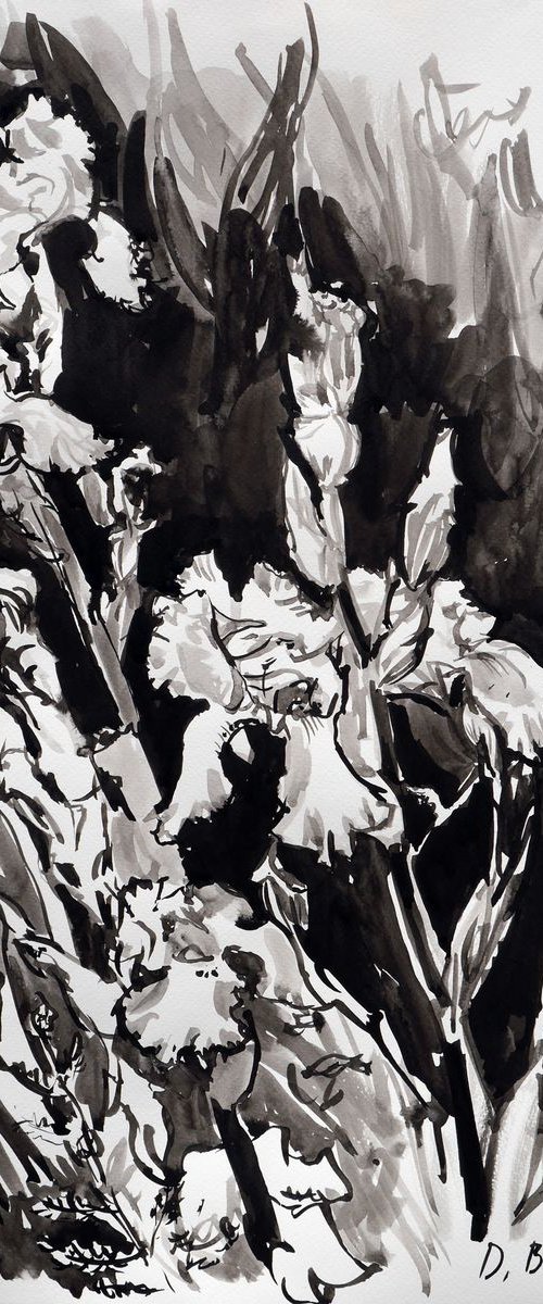 White Irises (ink) by Dima Braga