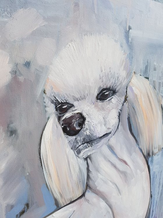 Painting Dog Dzudie: born to bring happiness, 80×80 cm, original, Free shipping