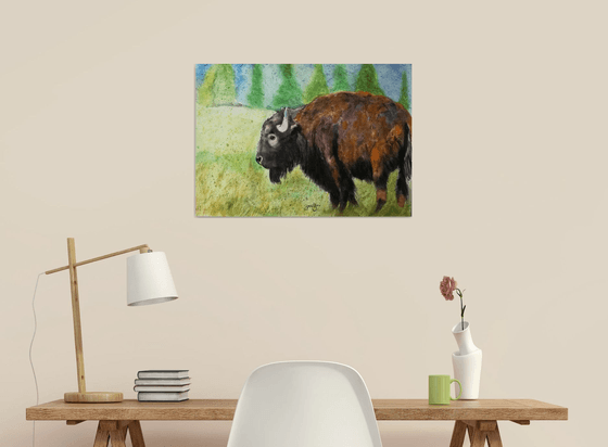 Bison Watercolour. Free Shipping