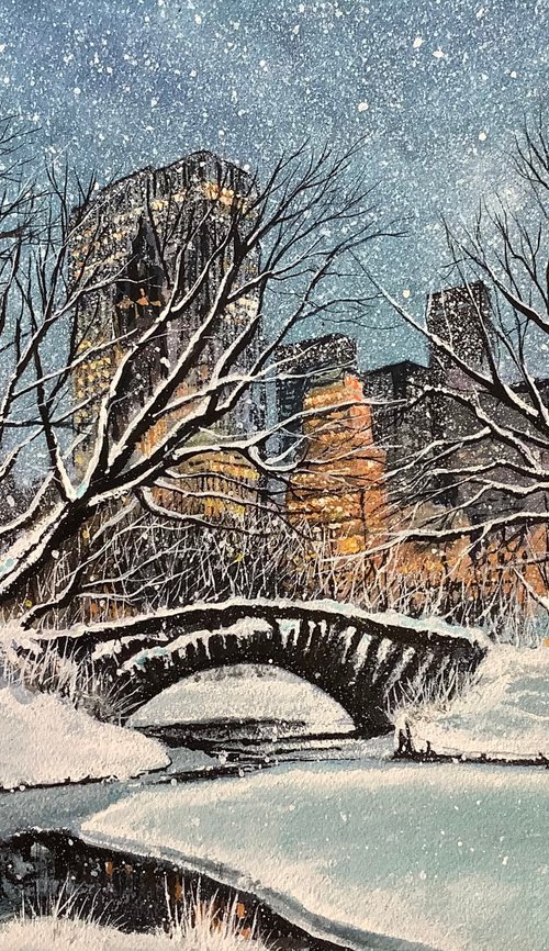 Central Park Winter by Darren Carey