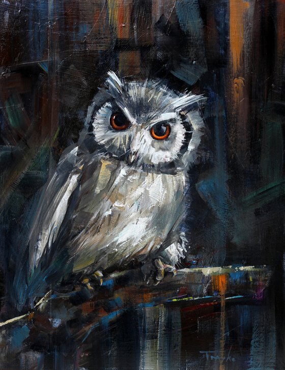 Owl | Wildlife | Forest
