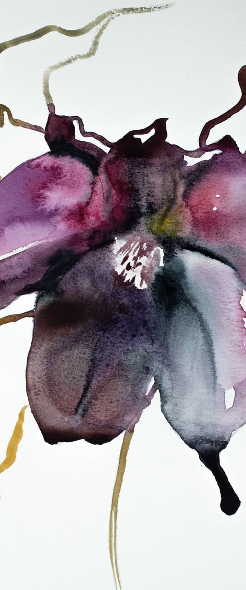 Hellebore No. 9 by Elizabeth Becker