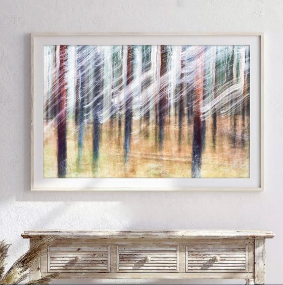 Conifers (studio 4)