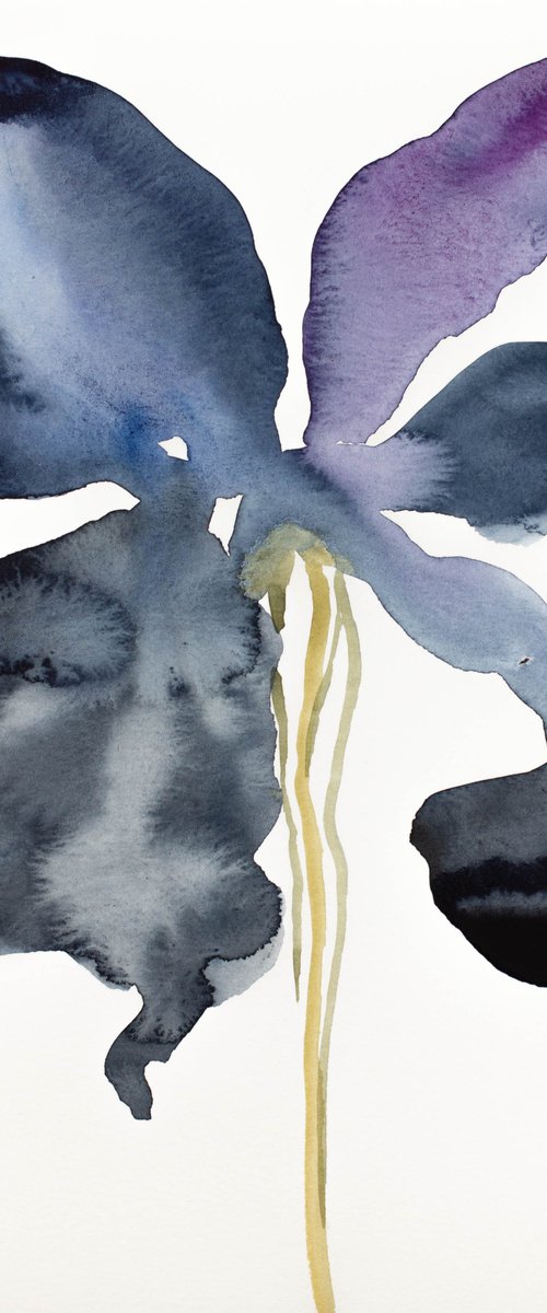 Iris No. 138 by Elizabeth Becker