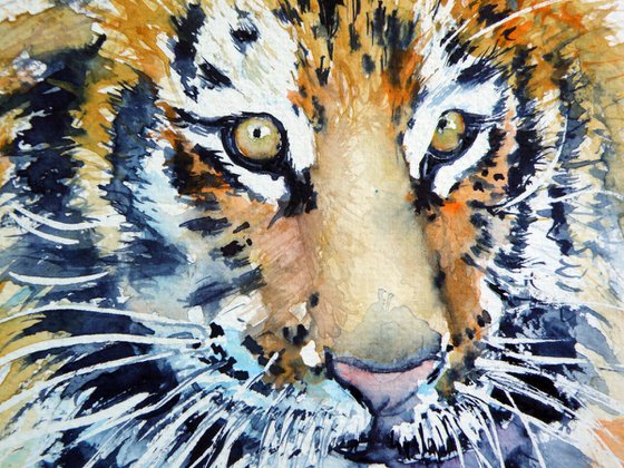 Tiger cub
