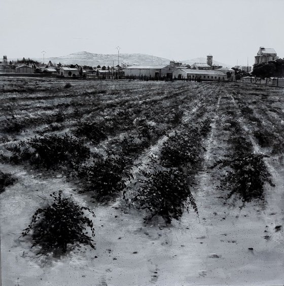 PAISAJE MANCHEGO.